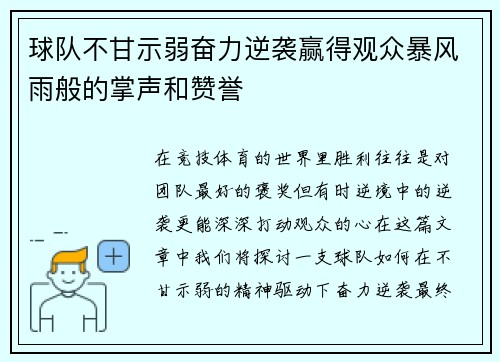 球队不甘示弱奋力逆袭赢得观众暴风雨般的掌声和赞誉
